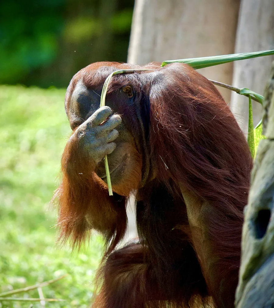 Camera Shy